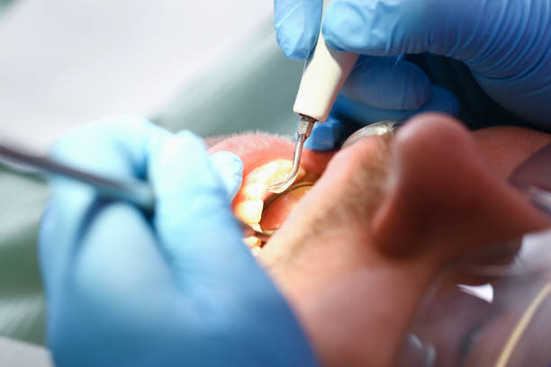 Best Emergency Orthodontic Services in Hillsdale, MI